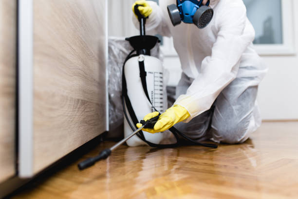 Best Pest Control for Homes  in Hudson, PA