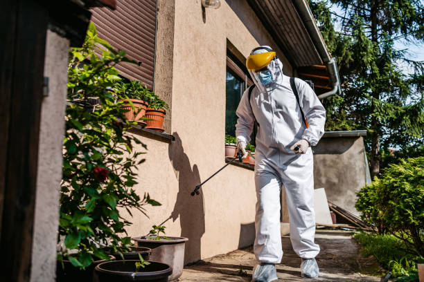Pest Prevention Services in Hudson, PA