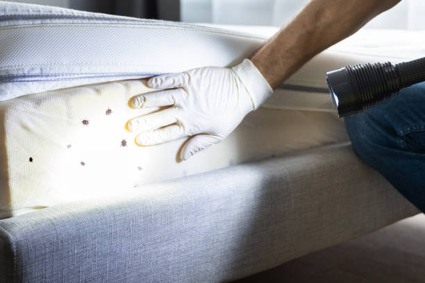 Best Commercial Pest Control Services  in Hudson, PA