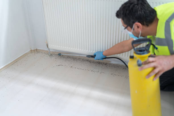 Best Termite Control Services  in Hudson, PA