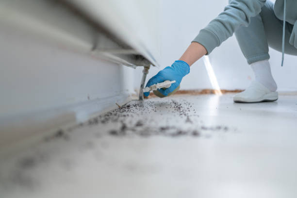 Best Affordable Pest Control Services  in Hudson, PA